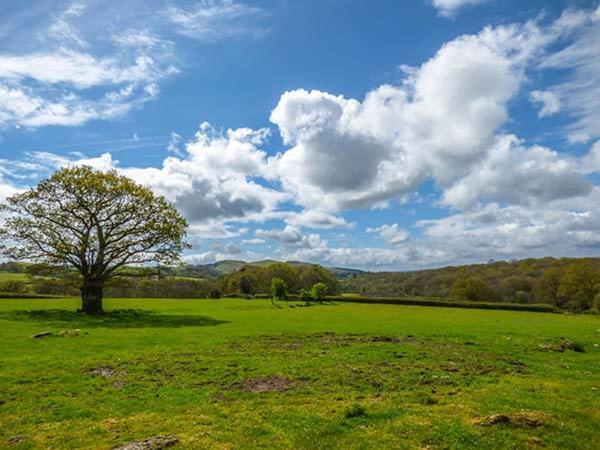 Brynhir Farm Villa Llandrindod Wells Exterior photo